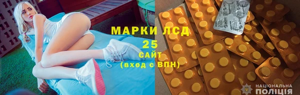 тгк Гусев